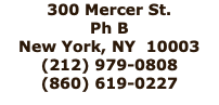 300 Mercer St. Ph B New York, NY 10003 (212) 979-0808 (860) 619-0227