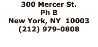 300 Mercer St. Ph B New York, NY 10003 (212) 979-0808
